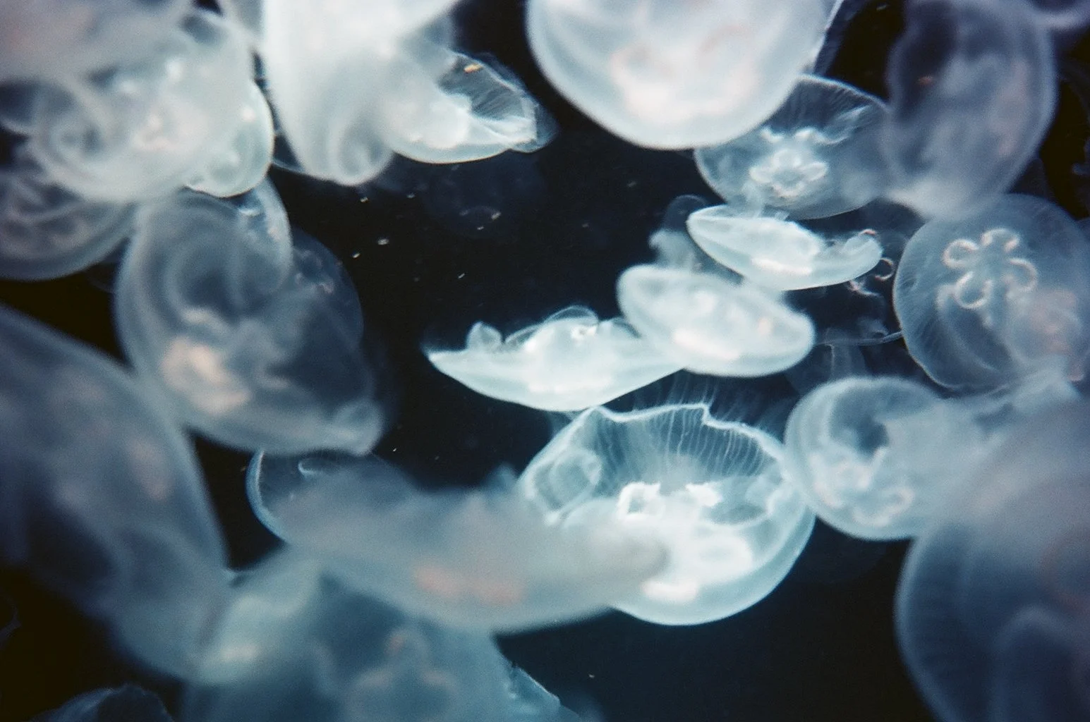 001028890029 - Lucía Gil.JPG