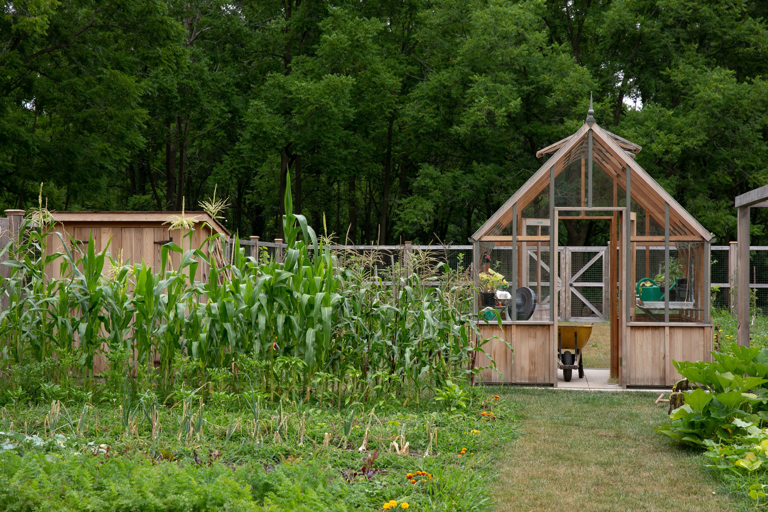 springhill4.jpg