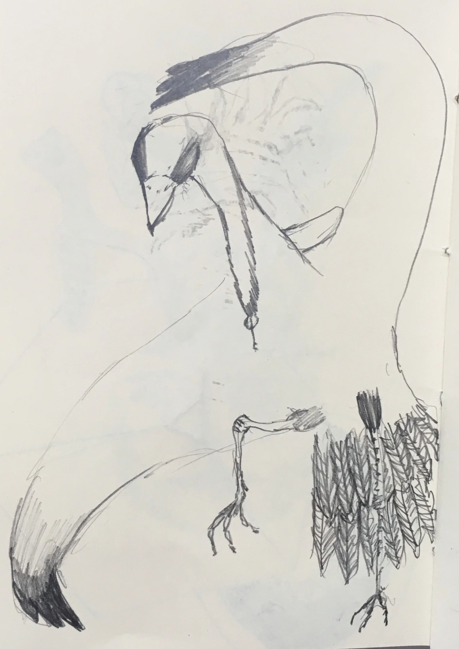 FullSizeRender 14.jpg