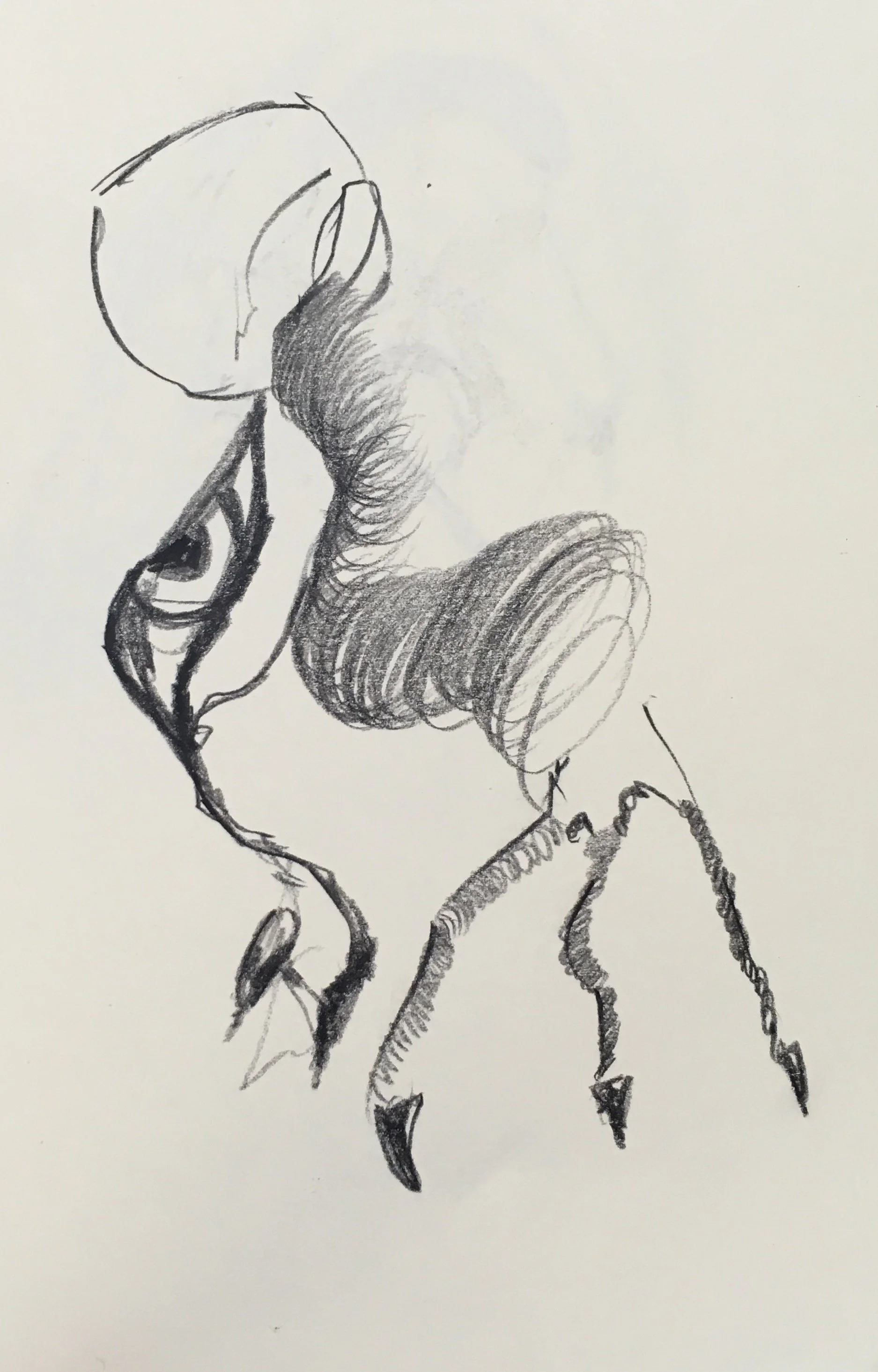 FullSizeRender 15.jpg