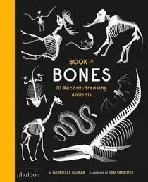 bones.jpg