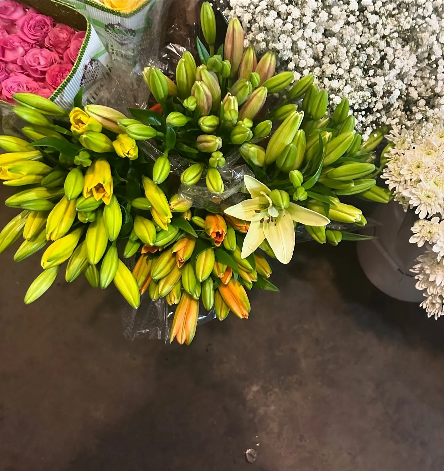 Flower shopping for the new year 🩵