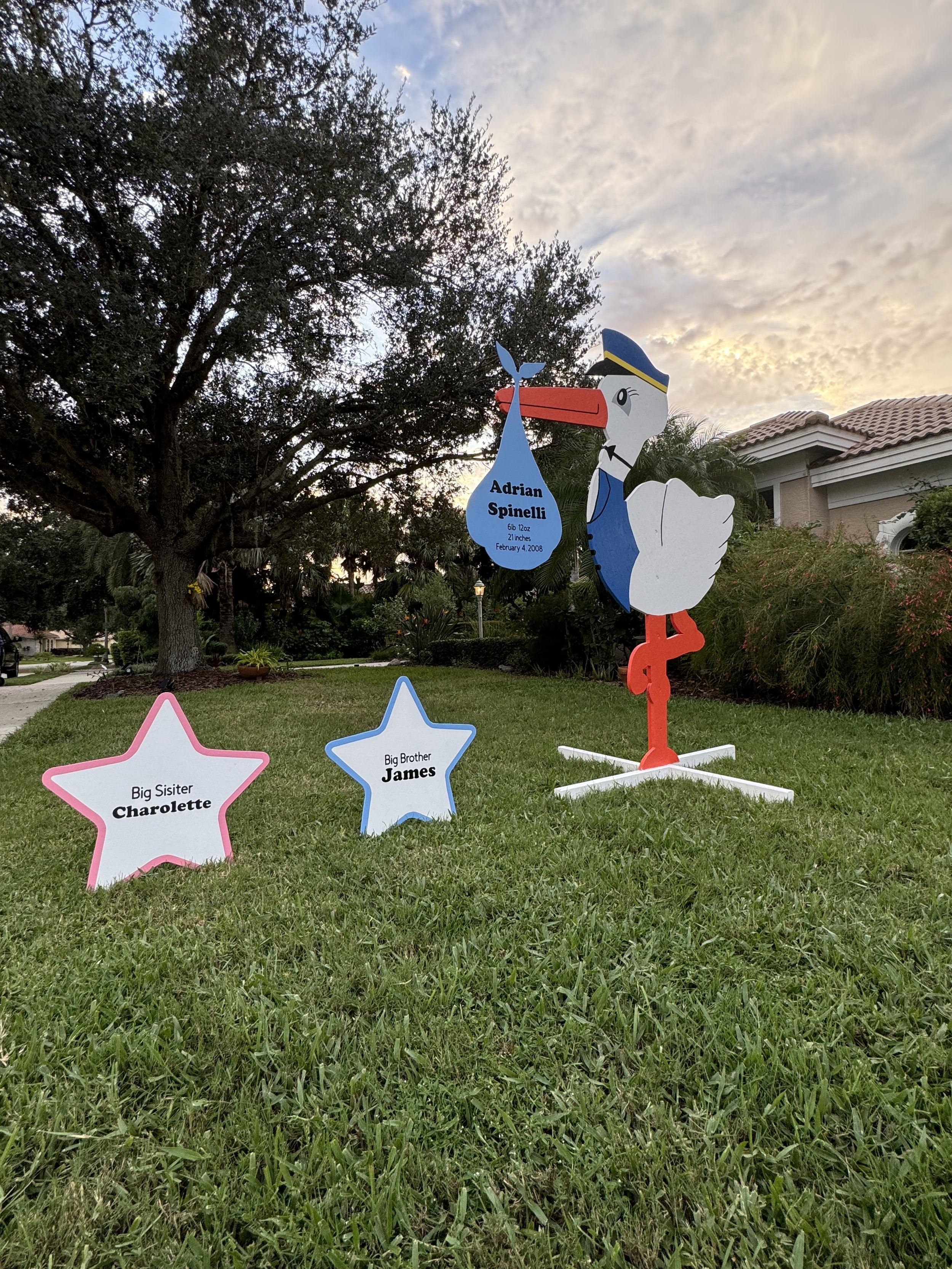 BoyStork5.jpg