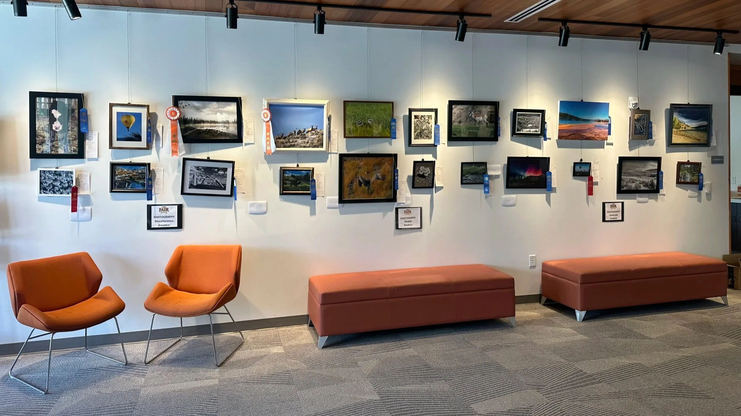 Gallery wall displaying framed photographs and ribbons, with two orange chairs and two orange benches in front, in a well-lit indoor space.