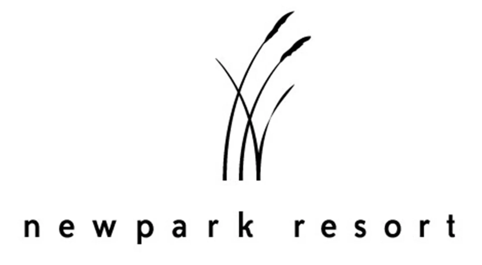 Newpark_Resort_RGB_K_SocialMedia.jpg