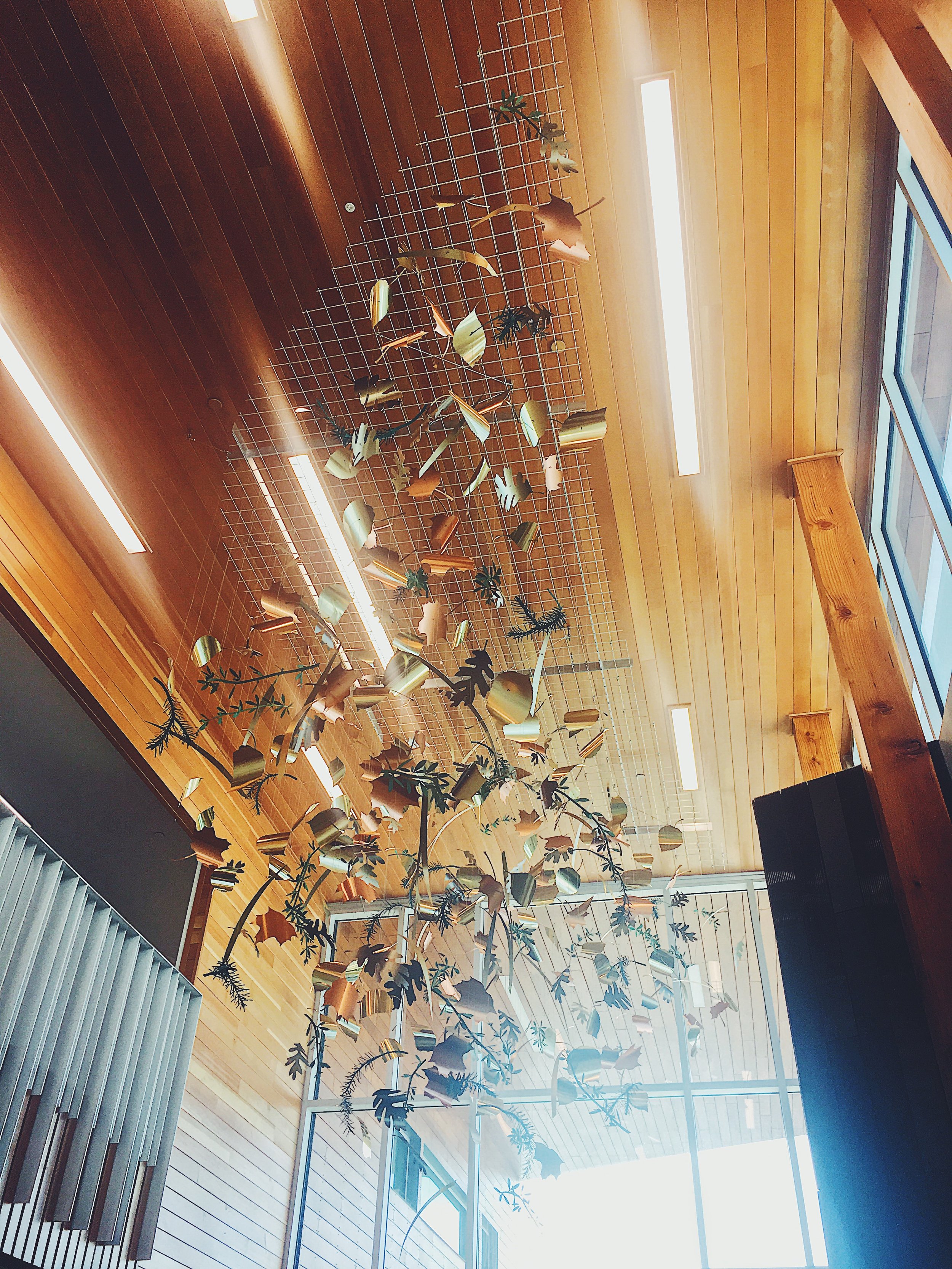 A ceiling display with a grid supporting metallic and wooden leaf ornaments, with wooden walls and large windows letting in natural light.