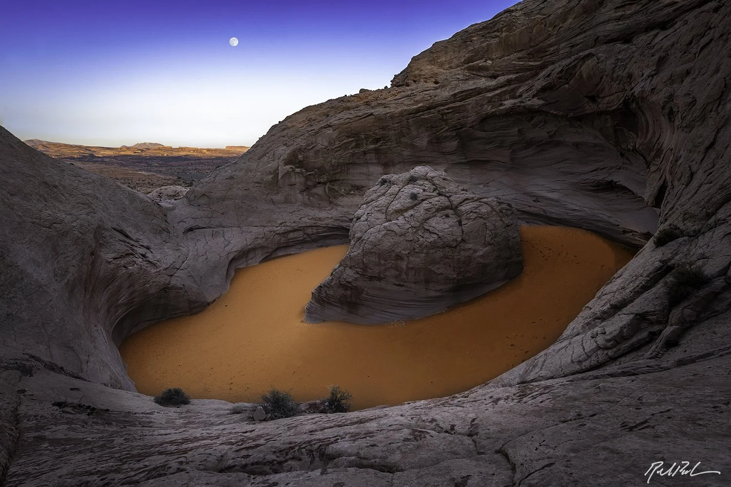 RDP Nature Photography
