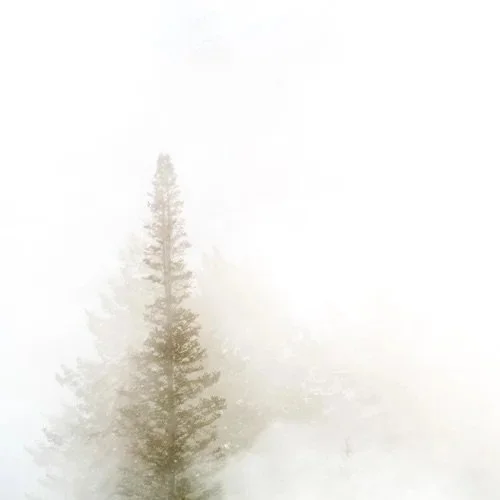 Mark Maziarz Photography