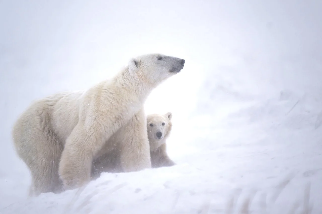 Fotografía de Amy Eskind