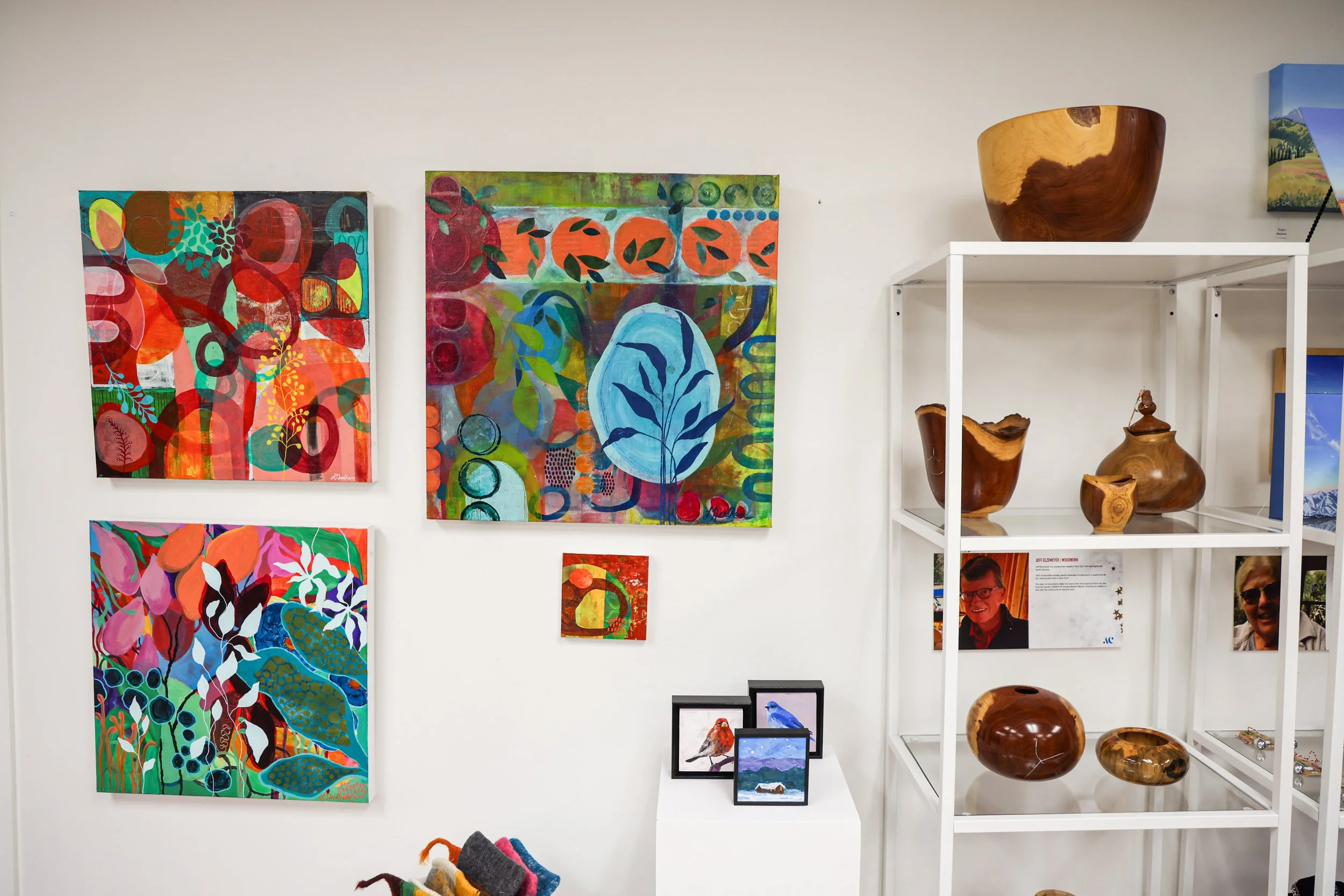 Gallery wall displaying colorful abstract paintings with foliage and nature themes, alongside a white display shelf with wooden art pieces and photographs.