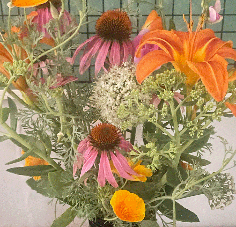 Seasonal cut flower bouquets grown in community garden including dahlias, zinnias, iris, cosmos, poppies, coneflower, sedum, calendula, amaranthand sage