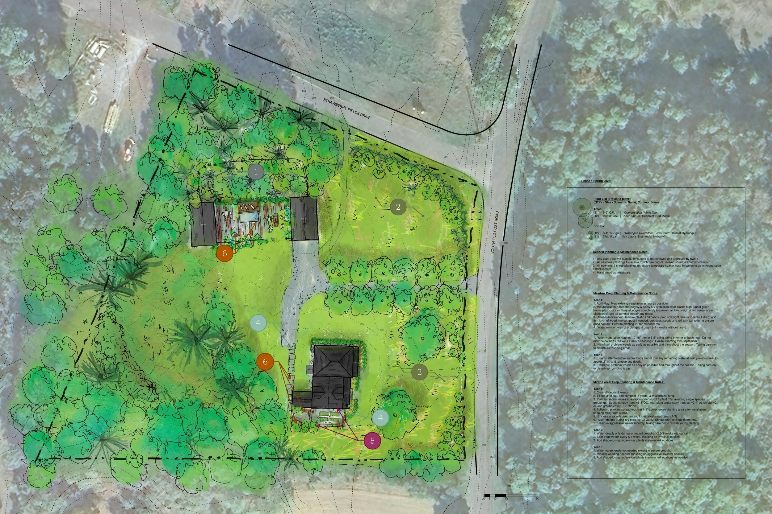 Ecological landscape masterplan for Hudson Valley farmhouse showing microforest planting, native meadow areas, and integrated stormwater systems