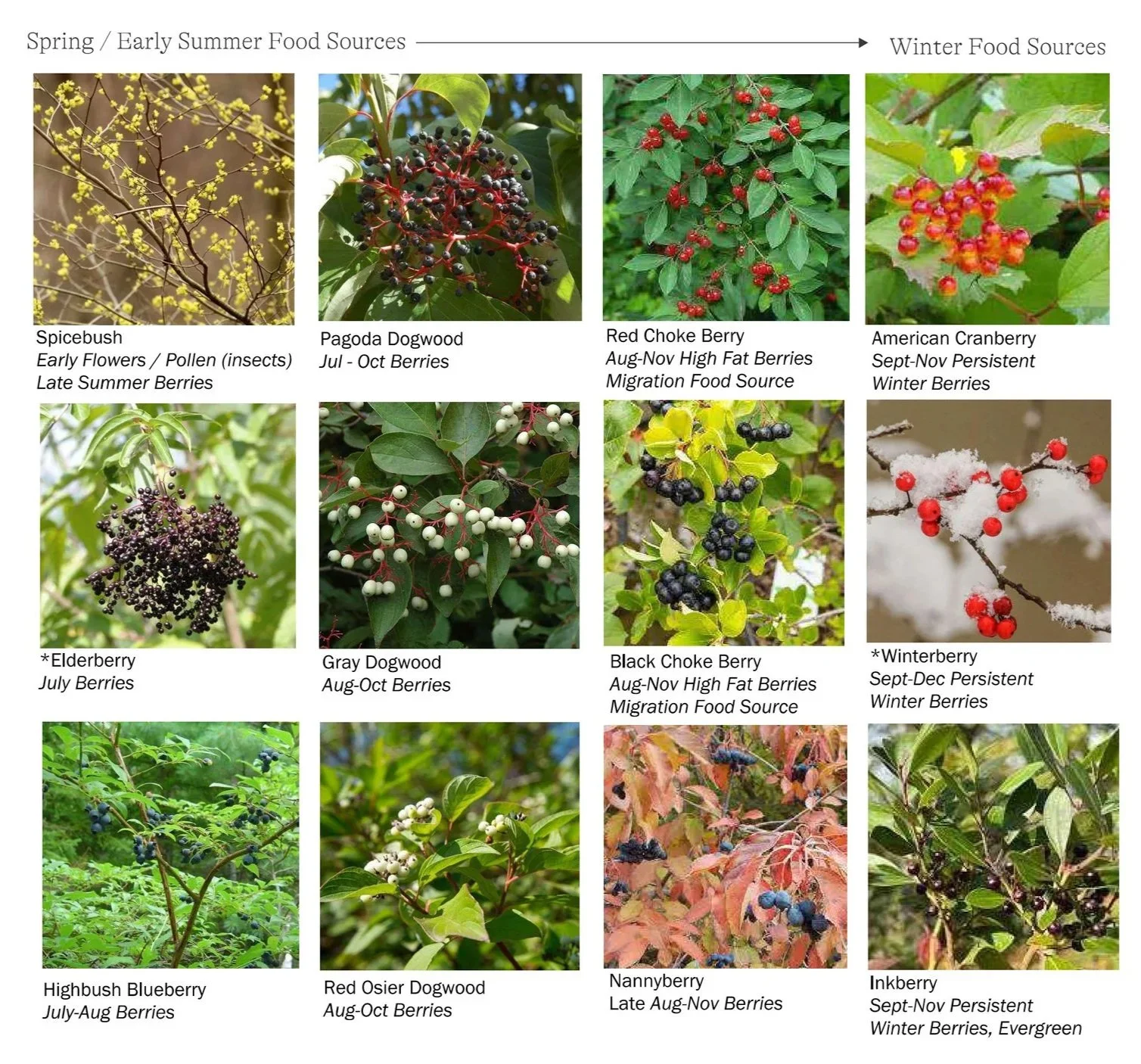 Bird Habitat Assessment & Management Plan