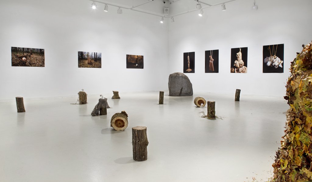 2-Crawl-To-Dtand-Exhibition-Jennifer-Laiwint.jpg
