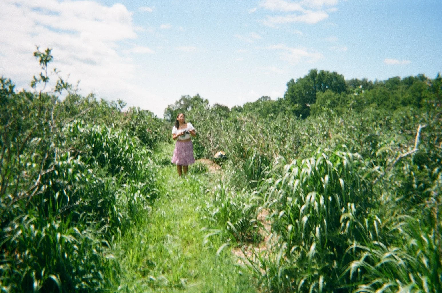 001015950009.jpg