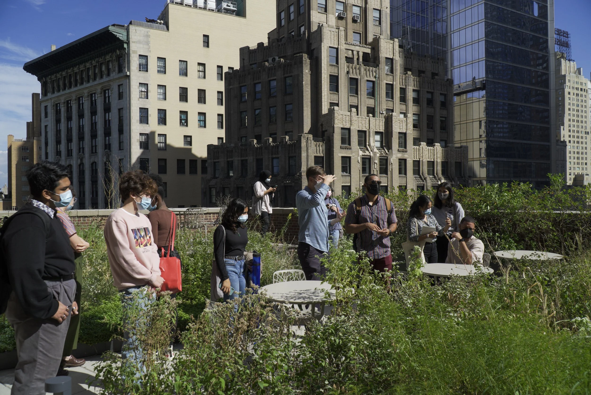 A group of people wearing masks gathered outdoors among plants on a rooftop in an urban area with tall buildings in the background.