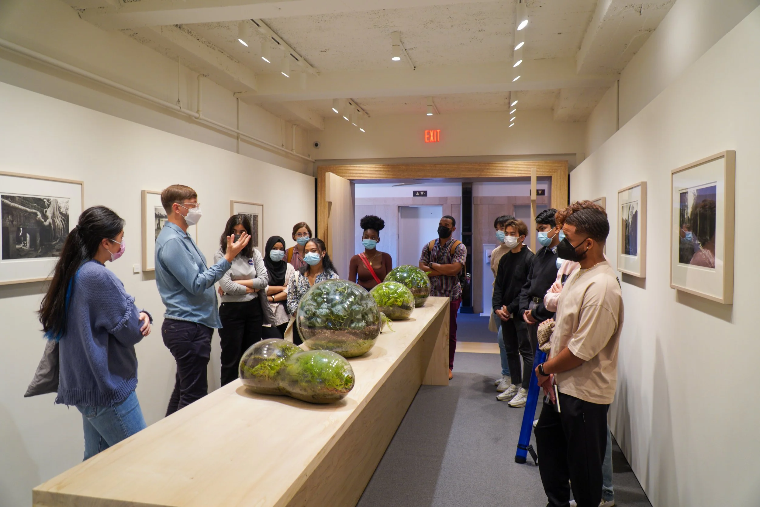 Group of people wearing face masks touring an art gallery with glass terrariums on display and framed pictures on the walls.