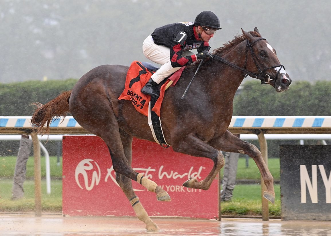 Ashcroft Lane a Stylish First Winner for Freshman Sire Keepmeinmind