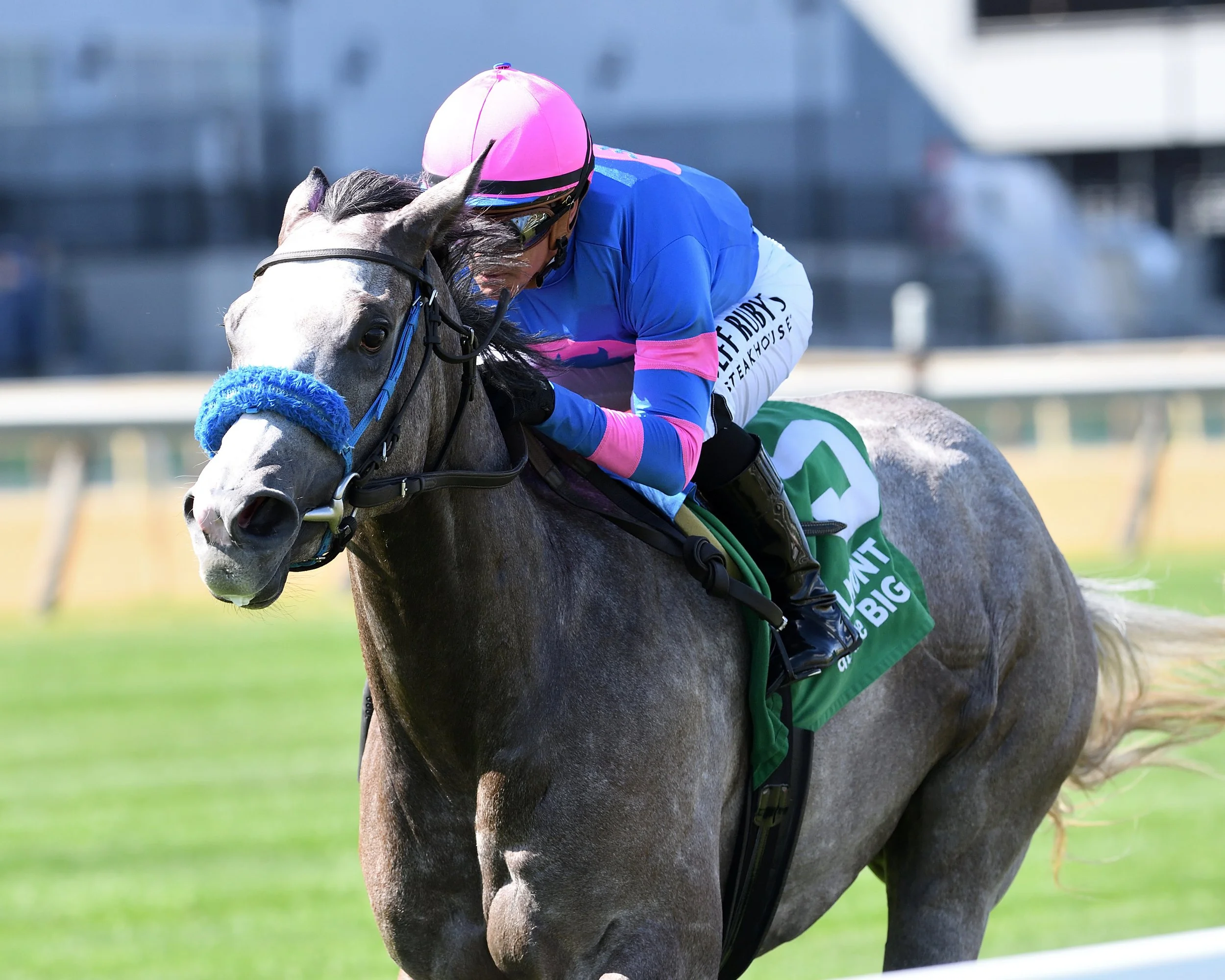 Celtic Dawn's victory in Cupecoy's Joy has Holliday riding high