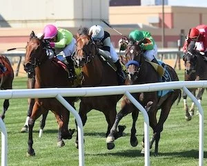 Honest Mischief’s Nessuna Pagina stays undefeated in NYSS Spectacular Bid