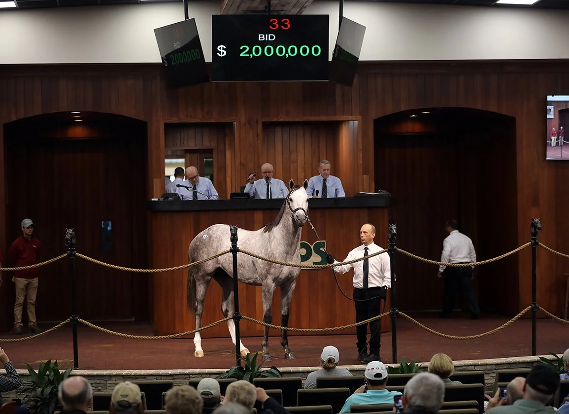 Chestertown Crowned Down Broadway Retired Racehorse of the Year