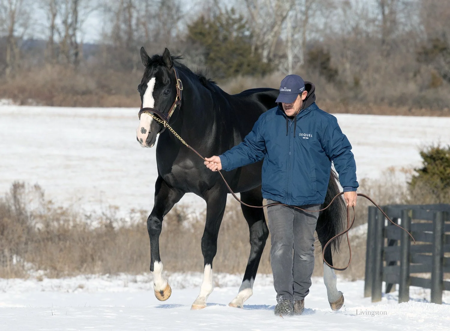Newgrange - 12-8-25.Livingston photo (19).jpg