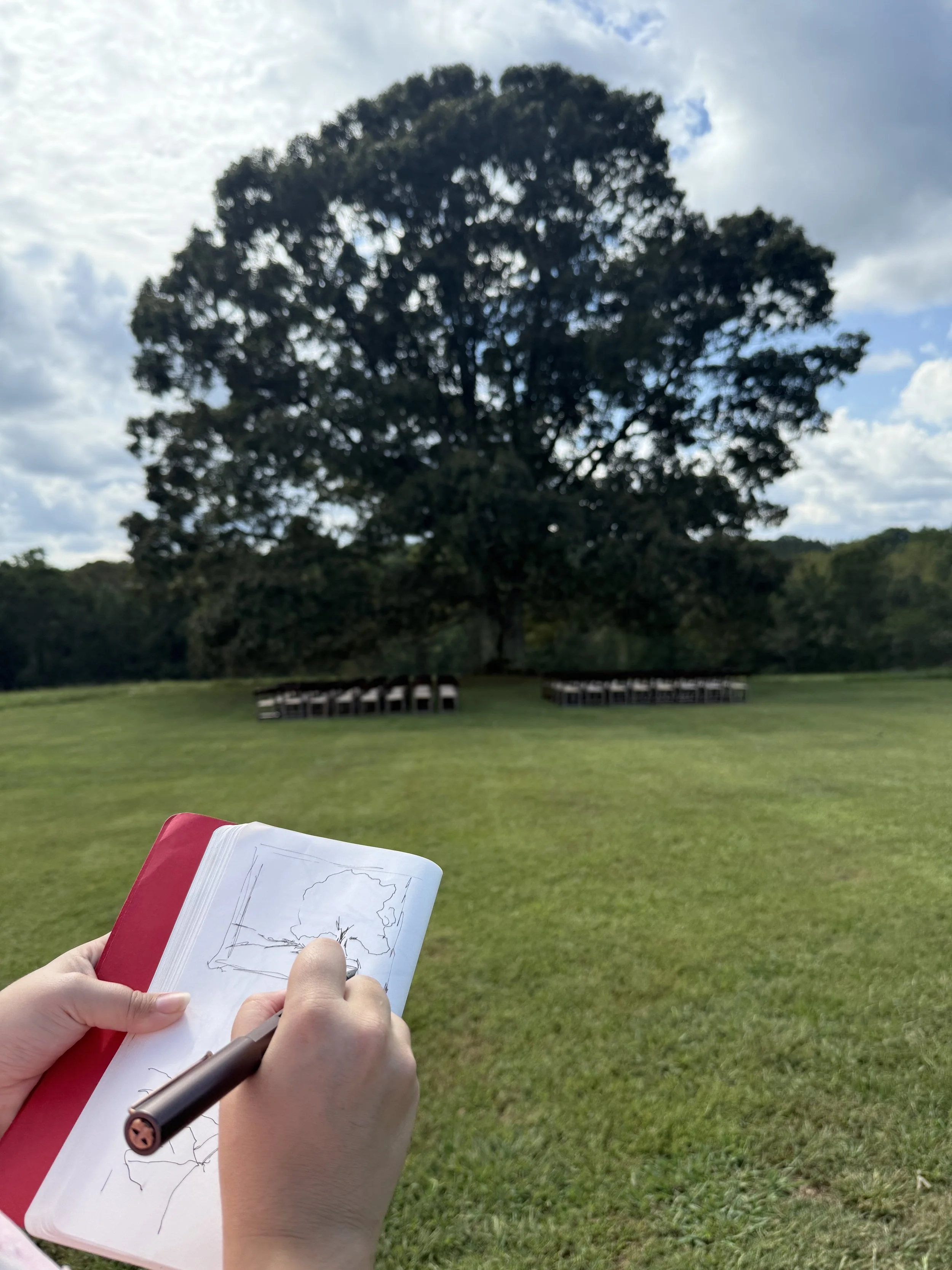 Since I already had a good plan for my composition, I often use my on location sketching time to capture detail and shape