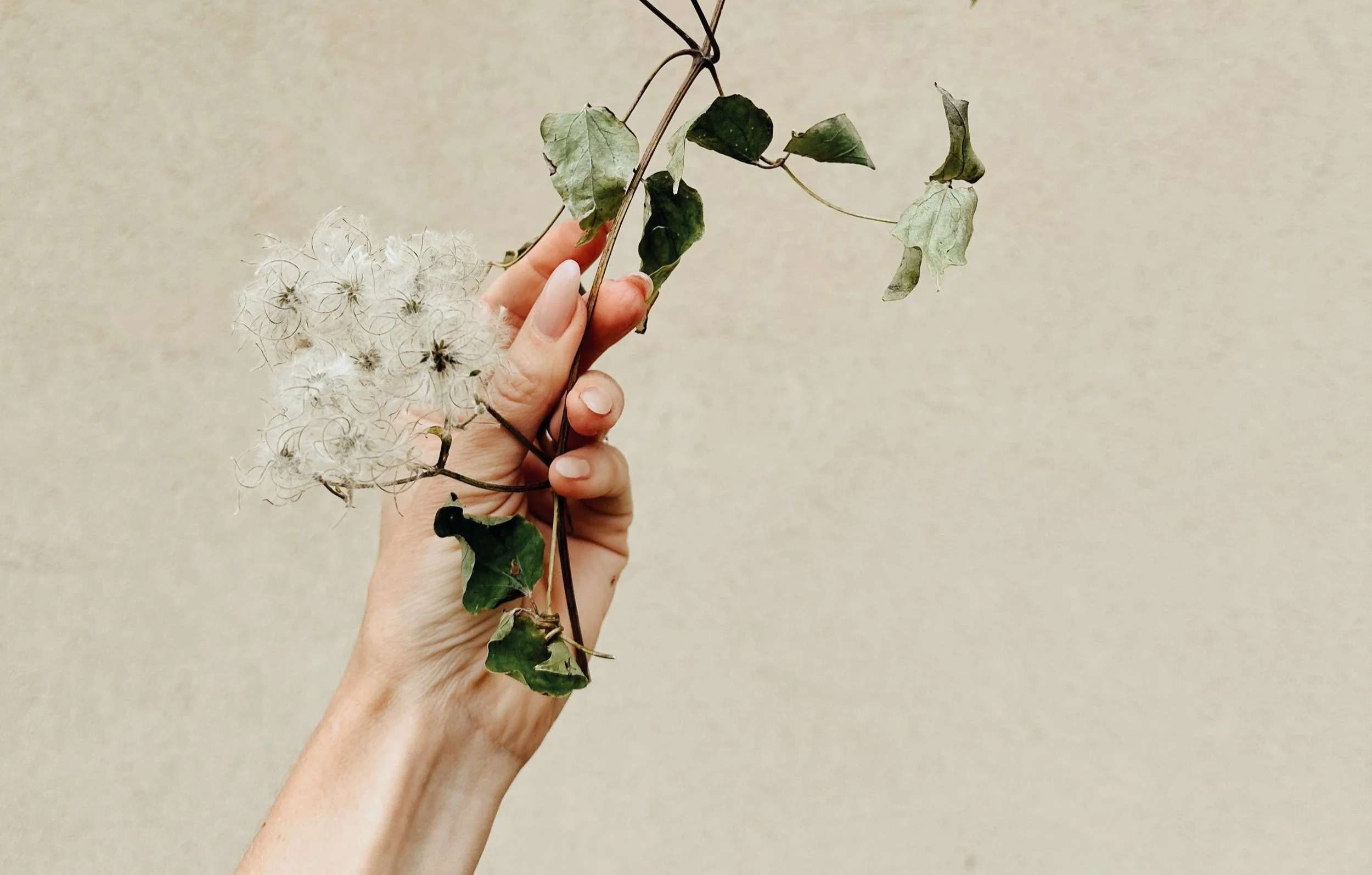 The Healing Exhale