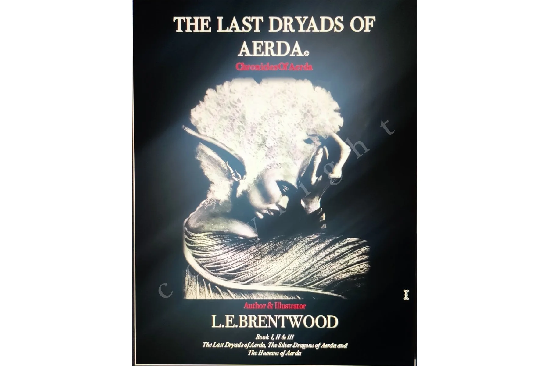 Book_Cover_#1.jpg