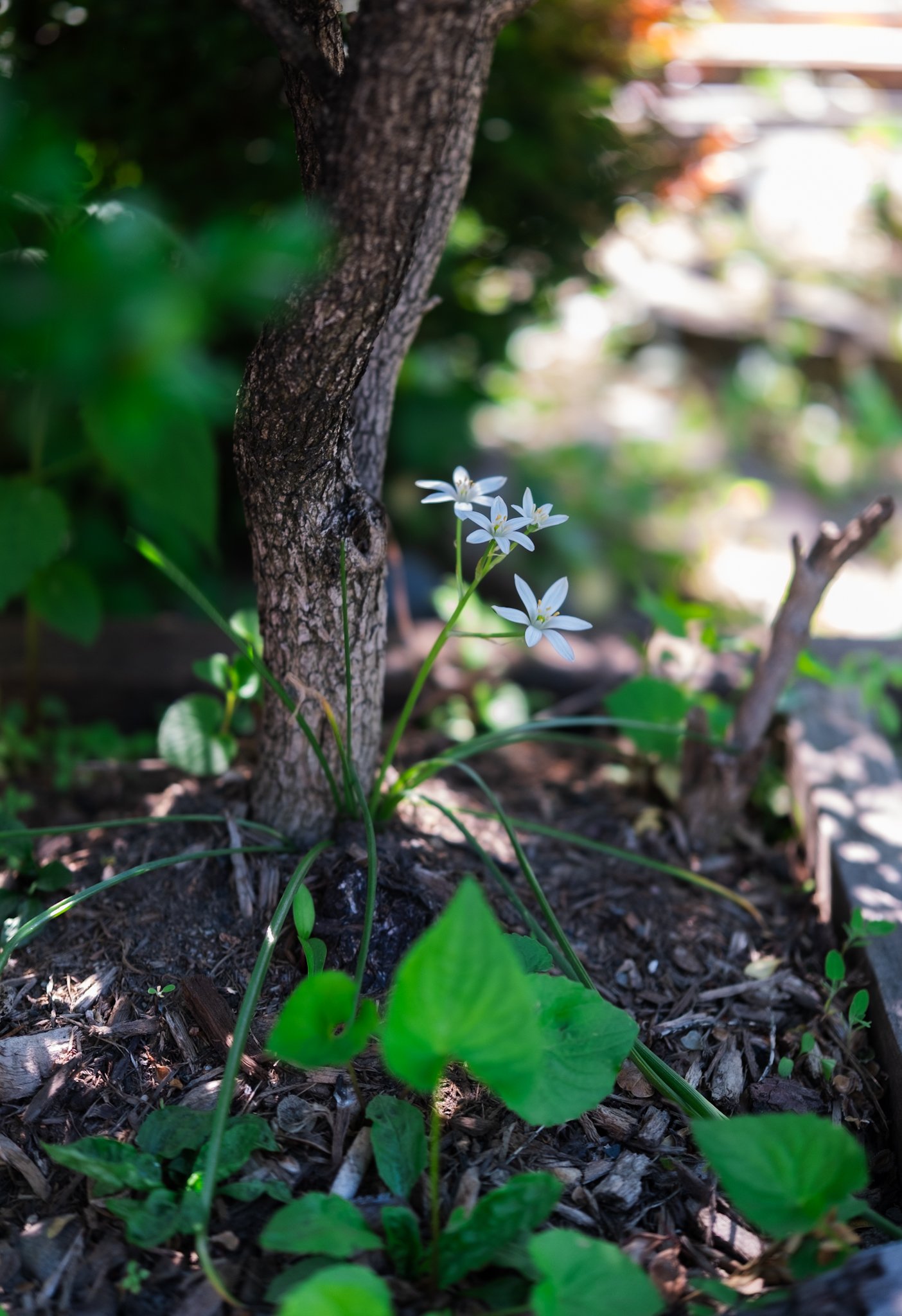 DSCF7219.jpg