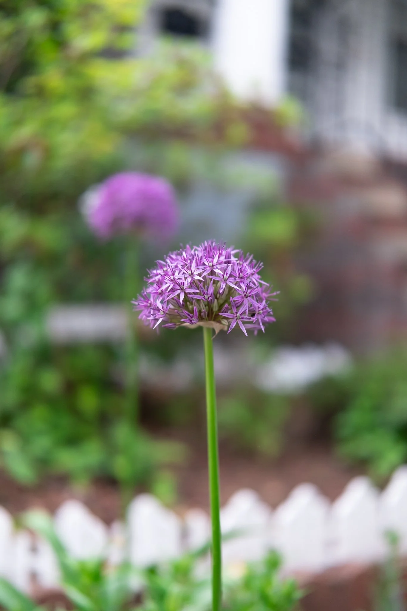DSCF7106.jpg