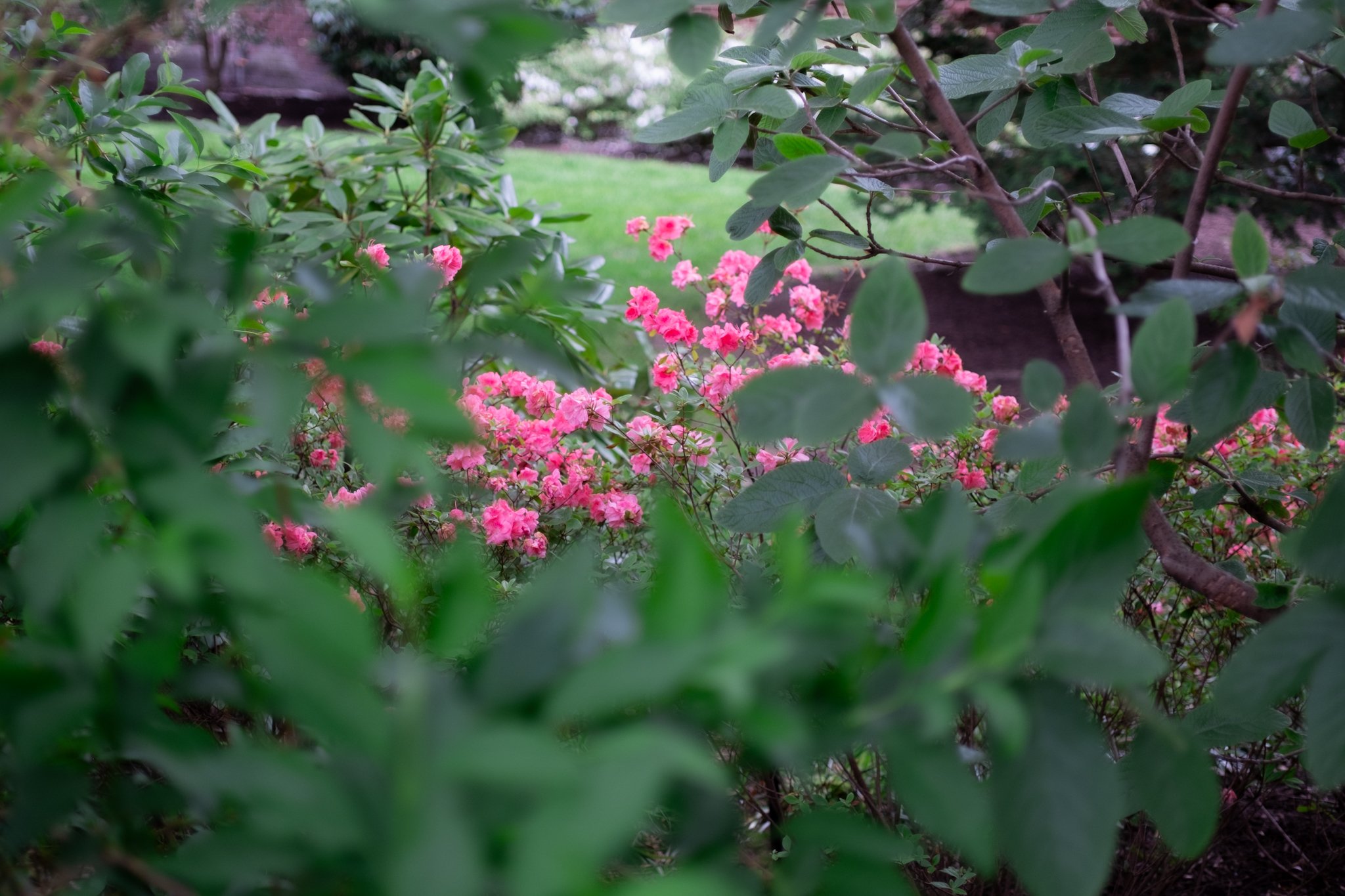DSCF6598.jpg