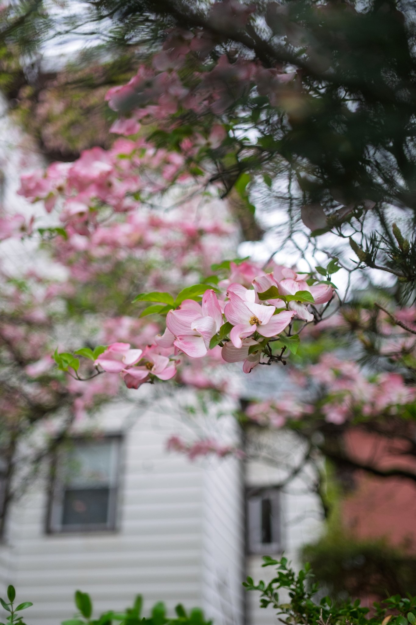 DSCF5952.jpg