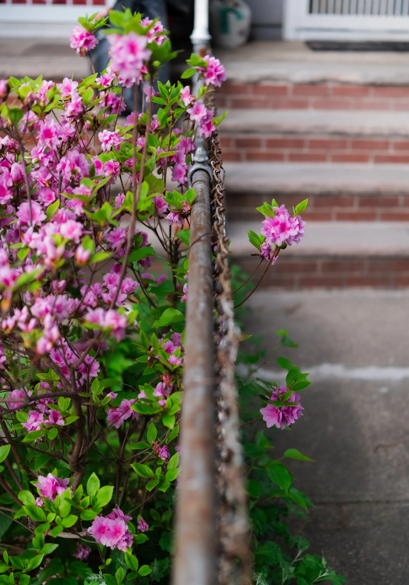 DSCF7190.jpg