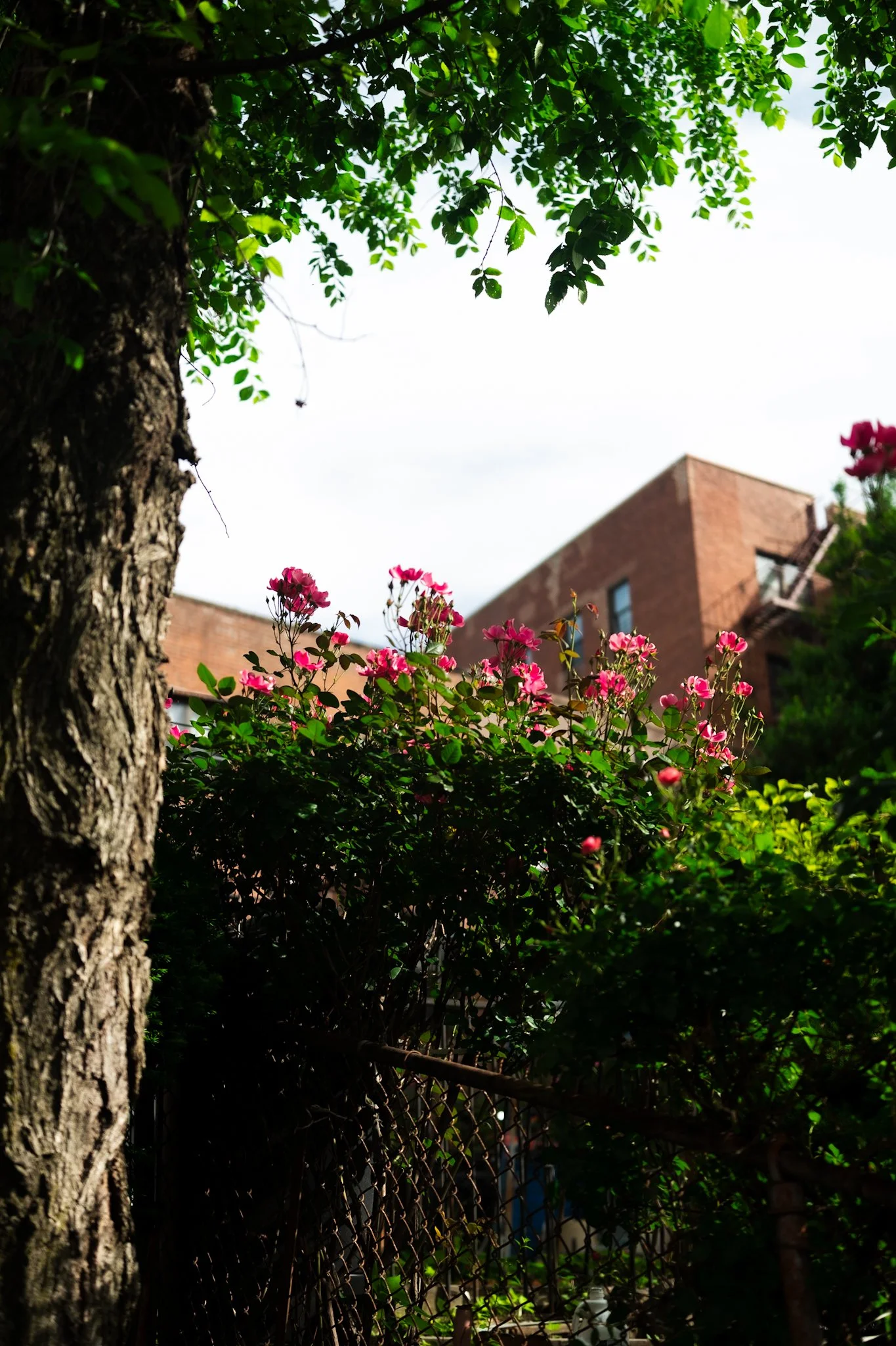 DSCF7891.jpg