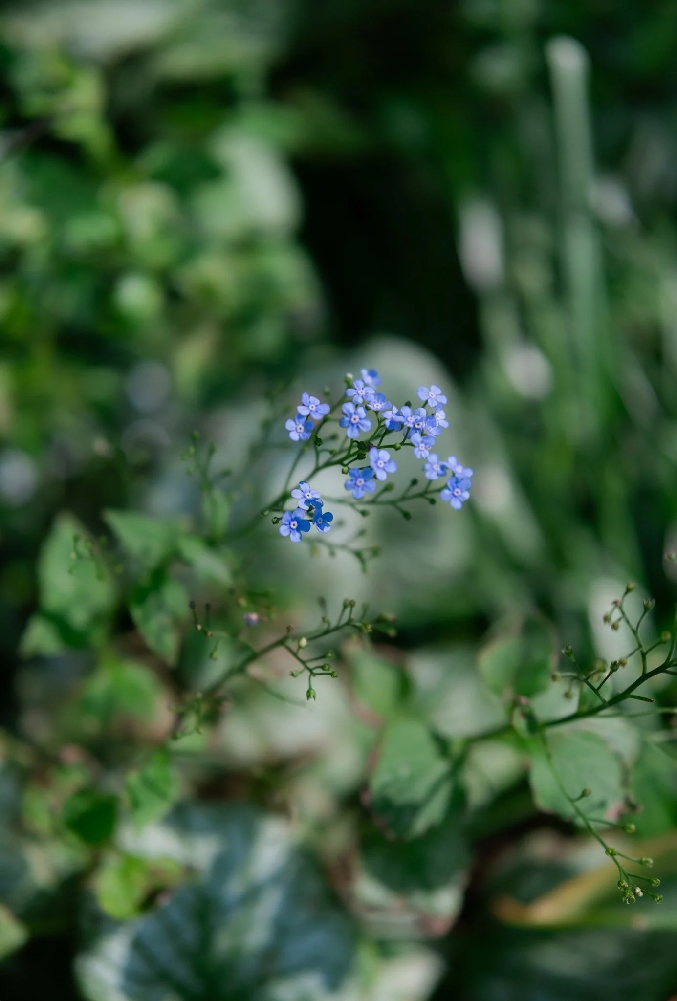 DSCF7762.jpg