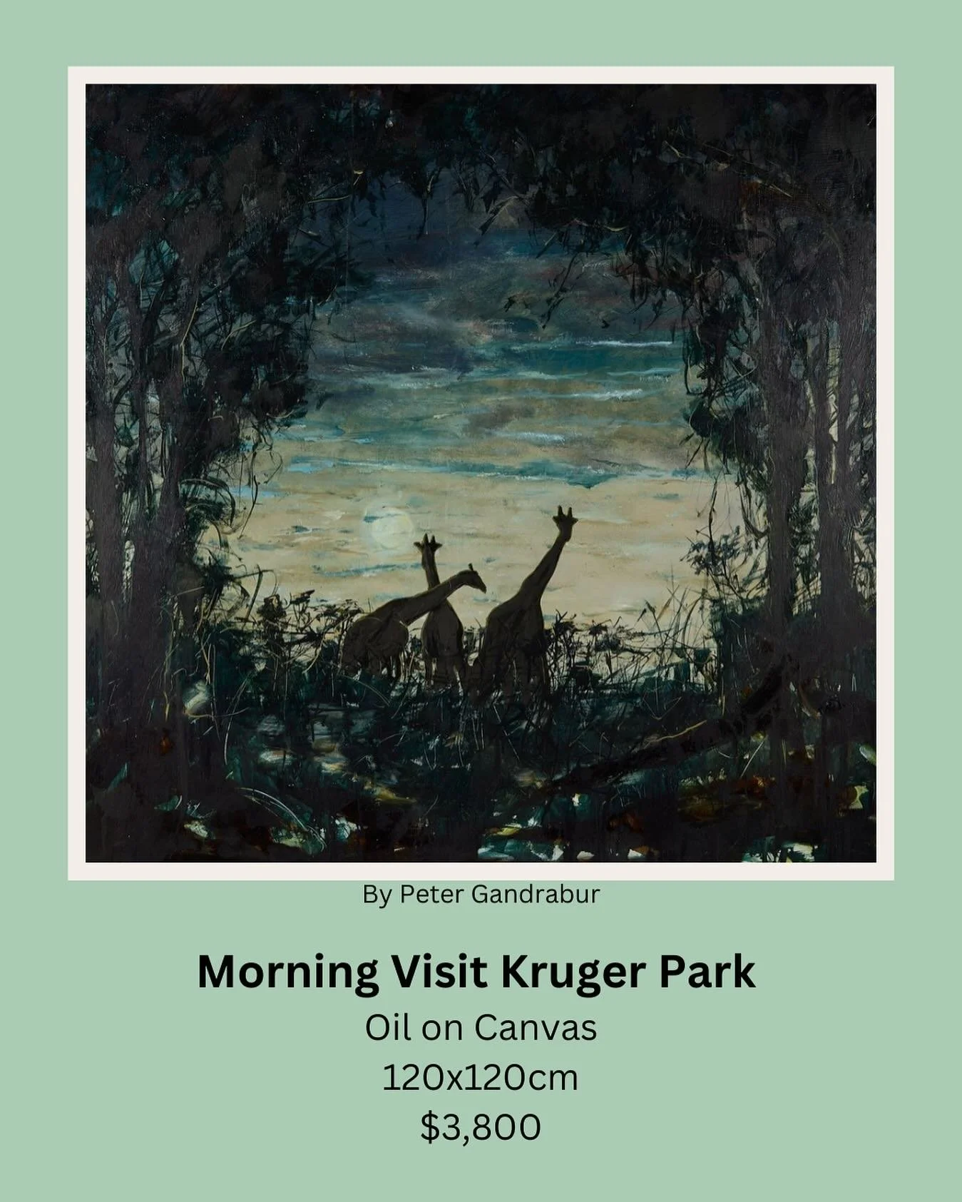 Visit www.petergandrabur.com for more!