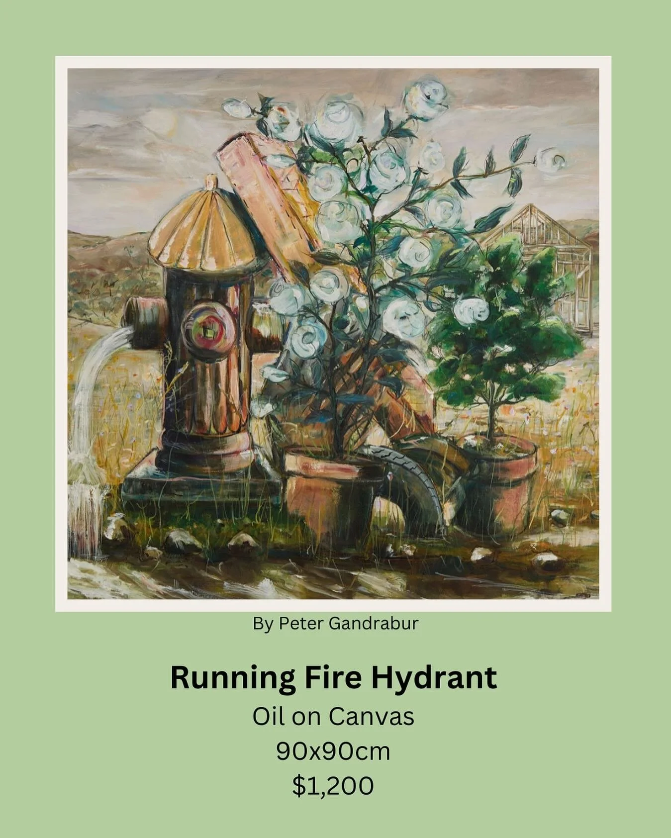 Visit www.petergandrabur.com for more!