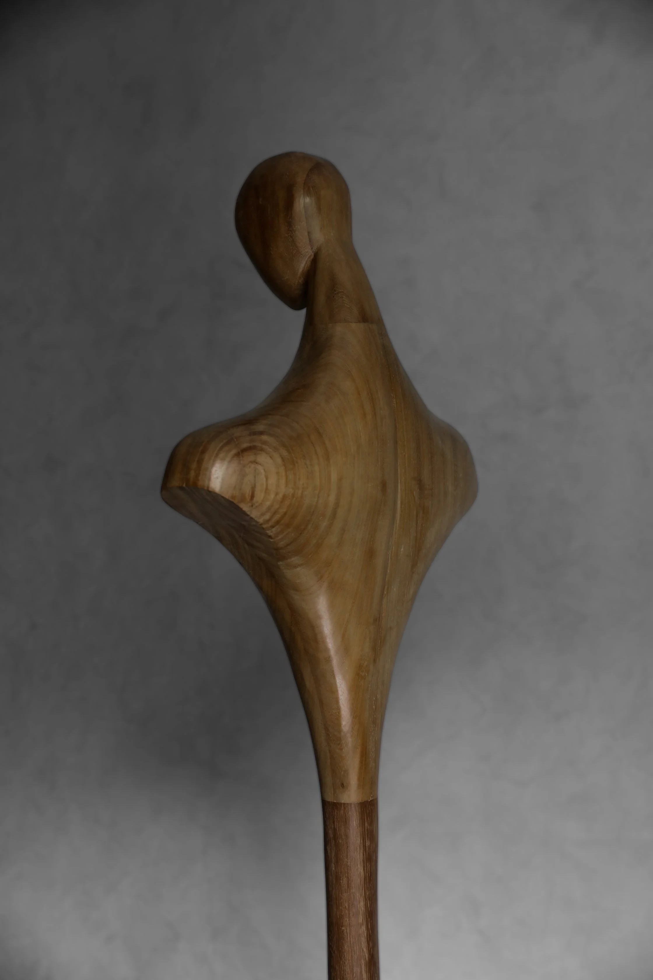 P43A6948.jpg