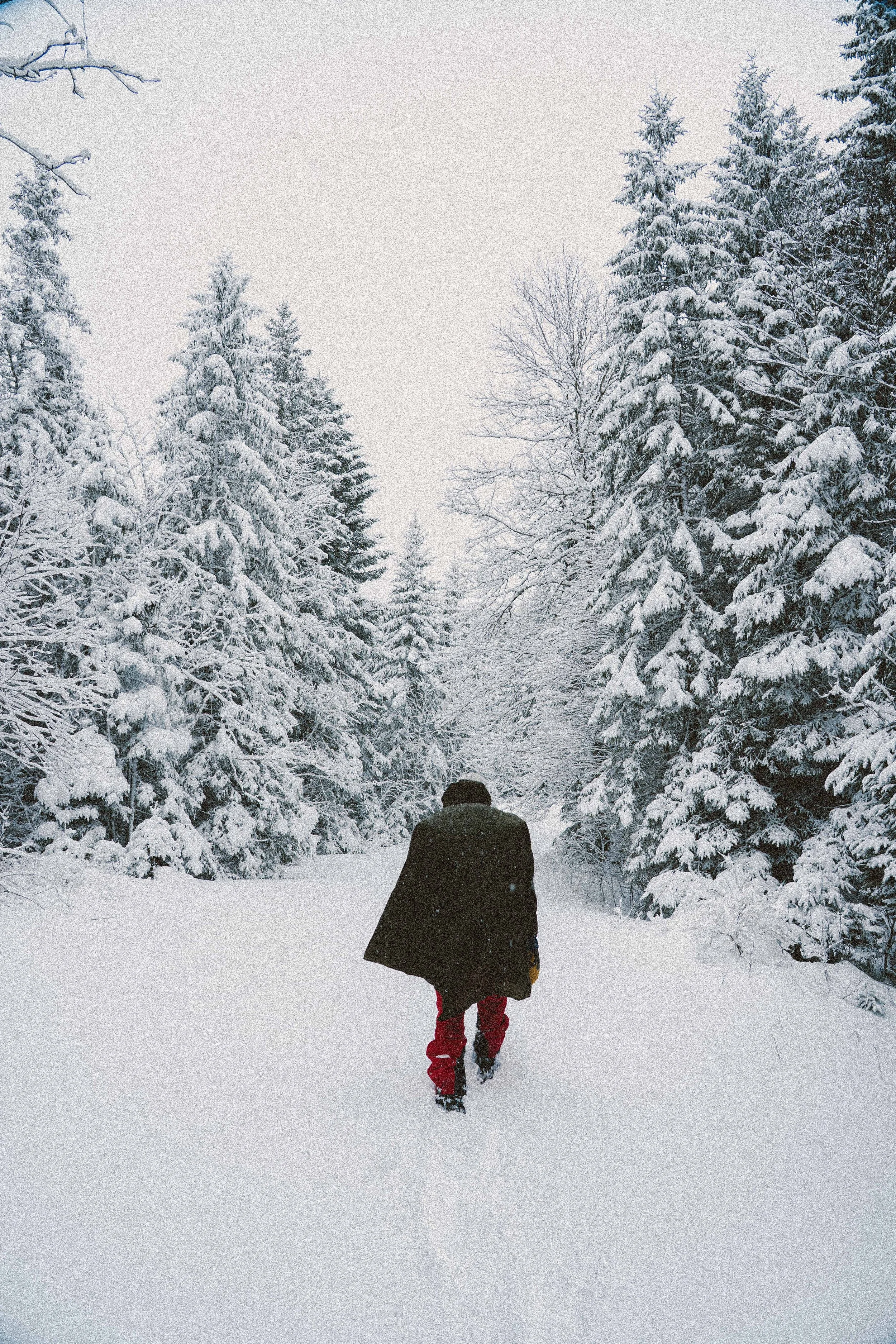 A person walking alone through a snowy forest path during winter with snow-covered trees on either side.