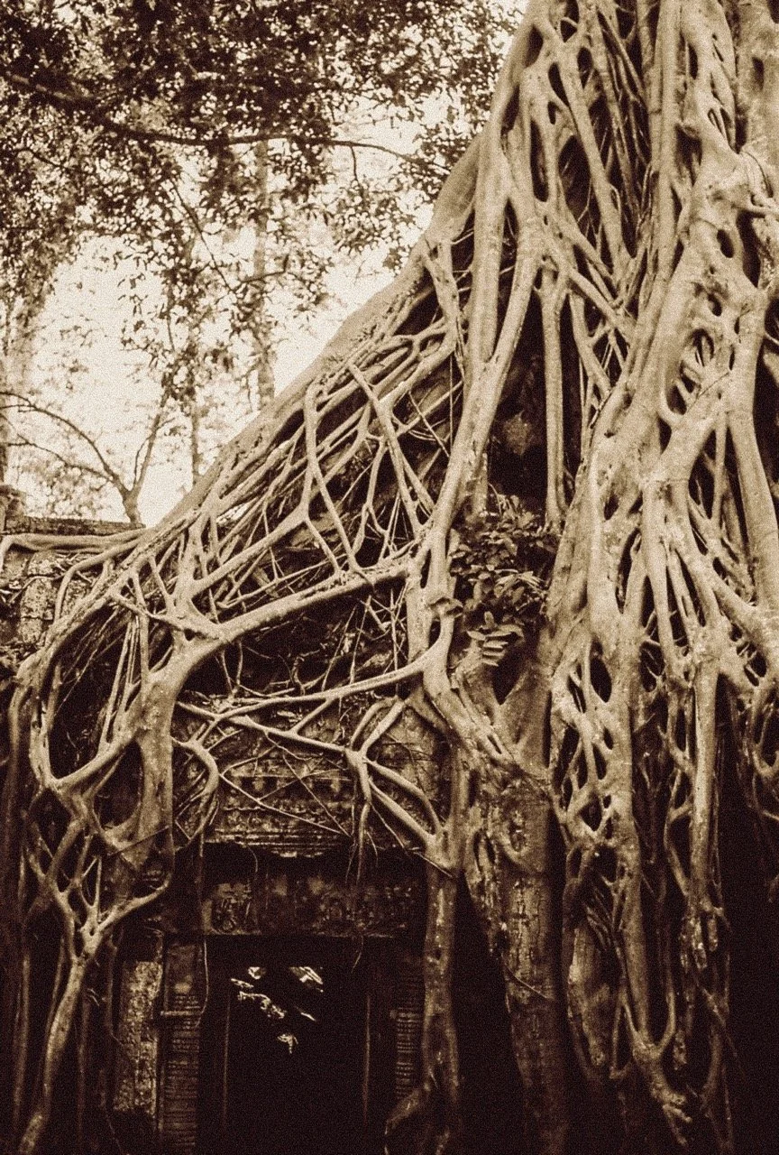 0001922-R1-14-15 Large.jpeg