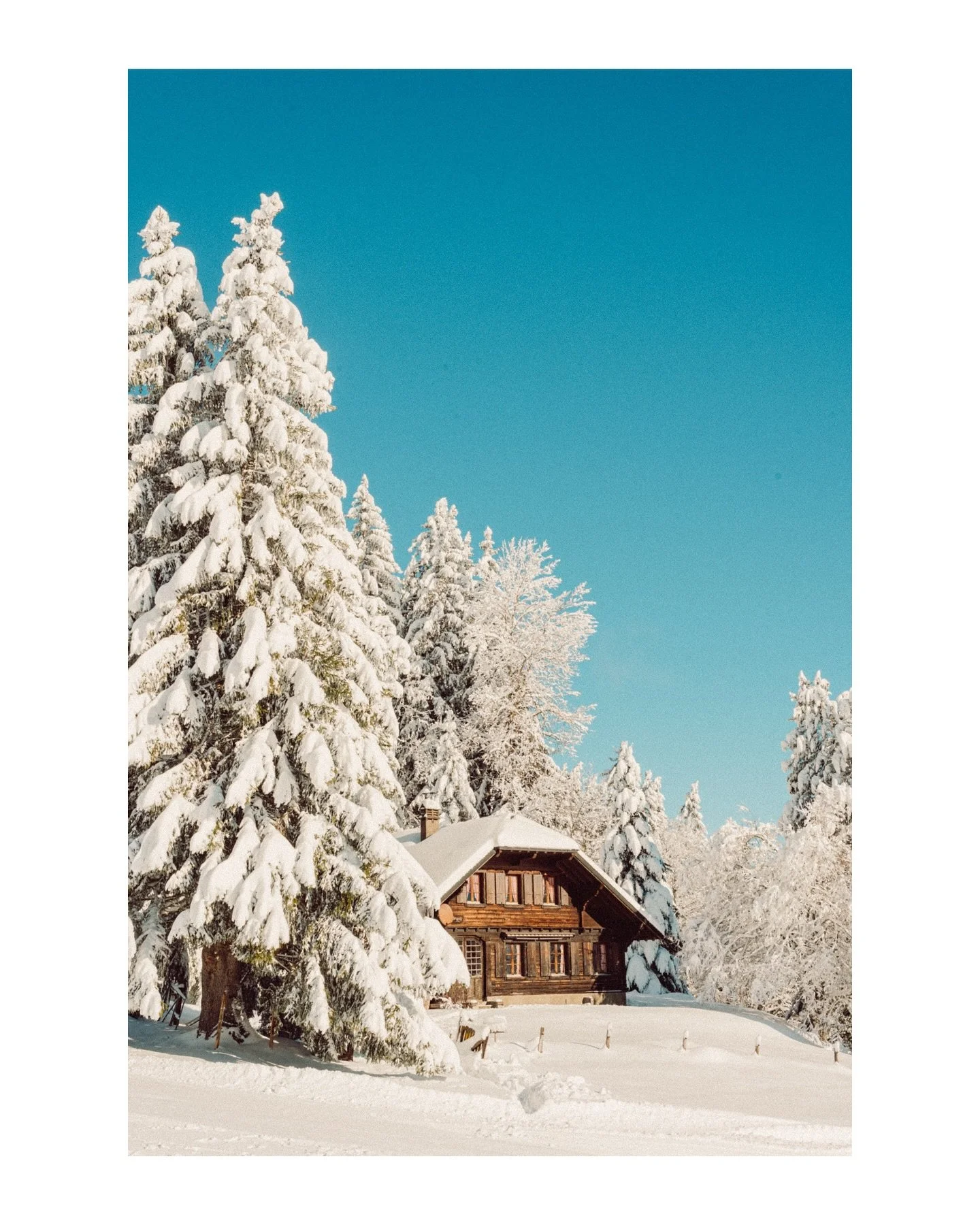 Snow-dusted trails, silent forests, and that soft alpine glow above Lake Geneva.
Les Pl&eacute;iades turned into a perfect winter escape today &mdash; crisp air, untouched powder, and wide-open views stretching all the way to the Alps.

Wandering up 