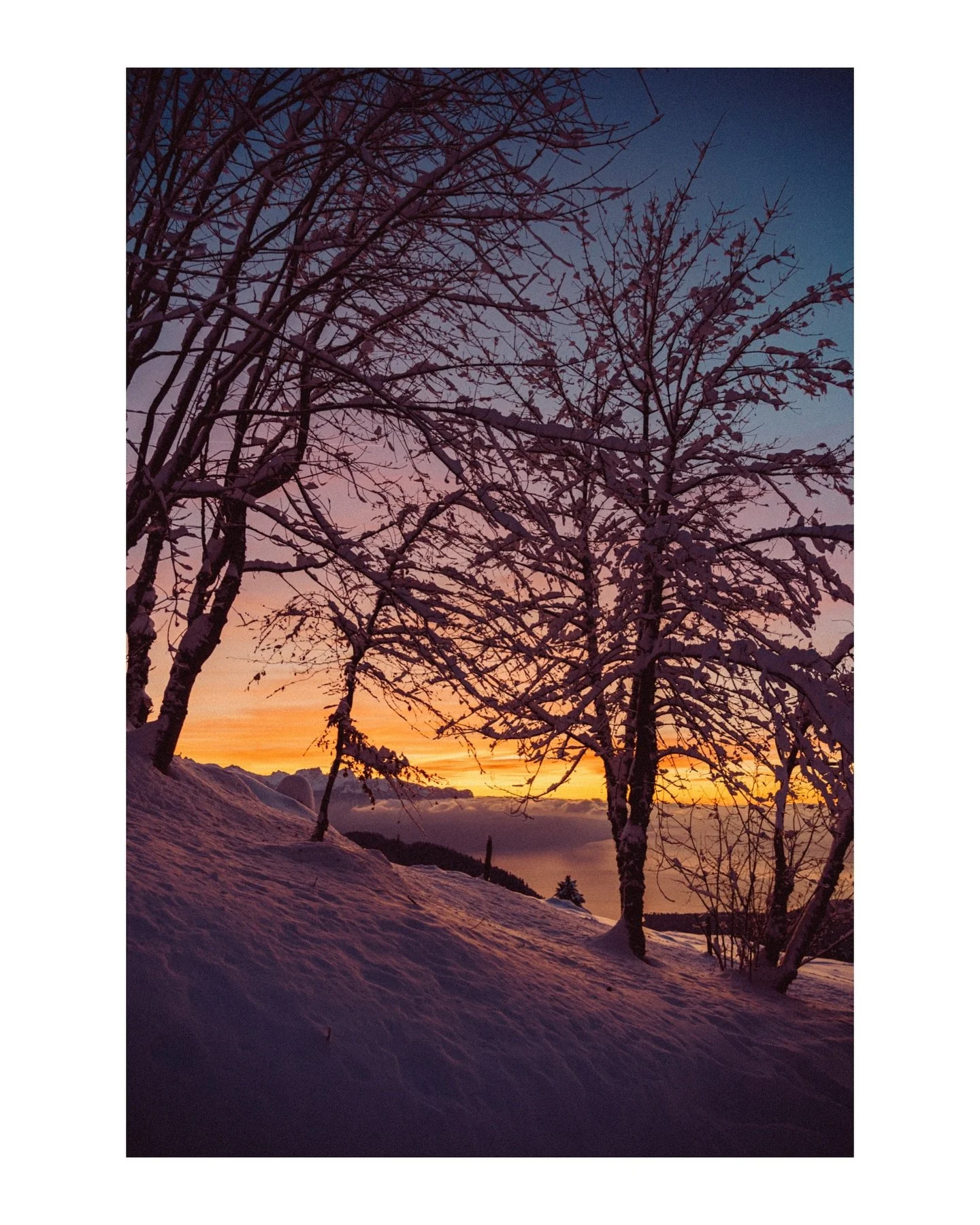 Full color palette 🎨