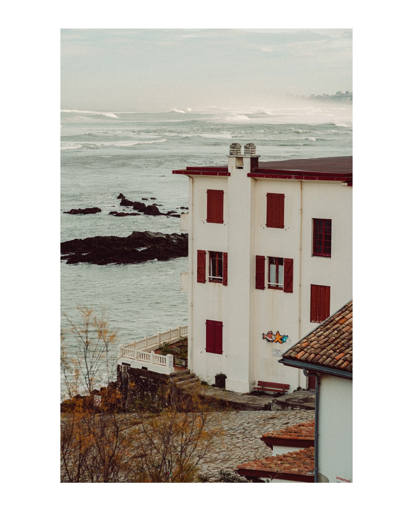 After the storm 🌊