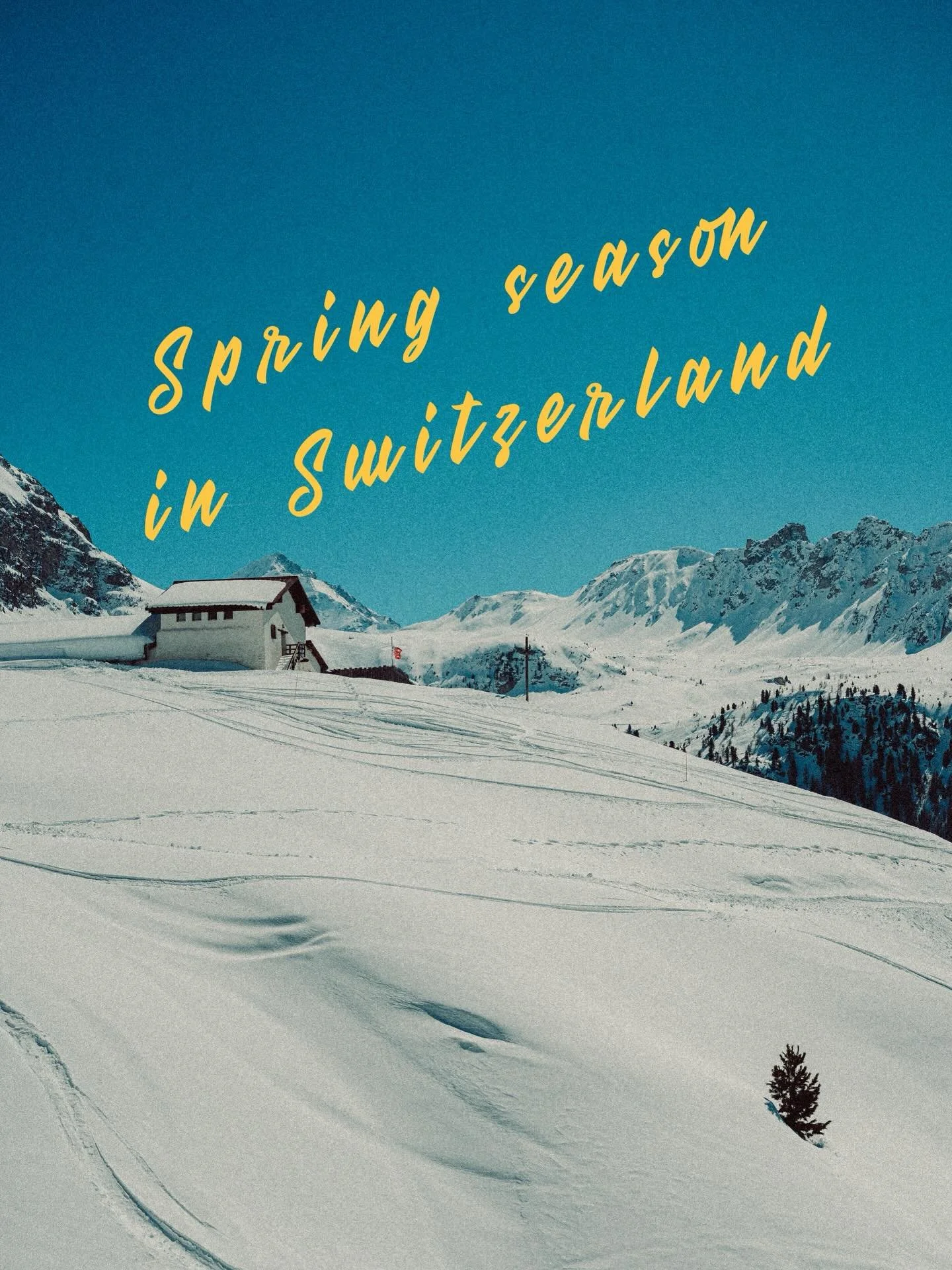Spring season in Switzerland 🇨🇭