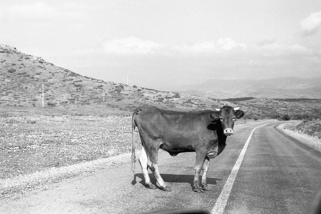 OM1 29-976 Large.jpg