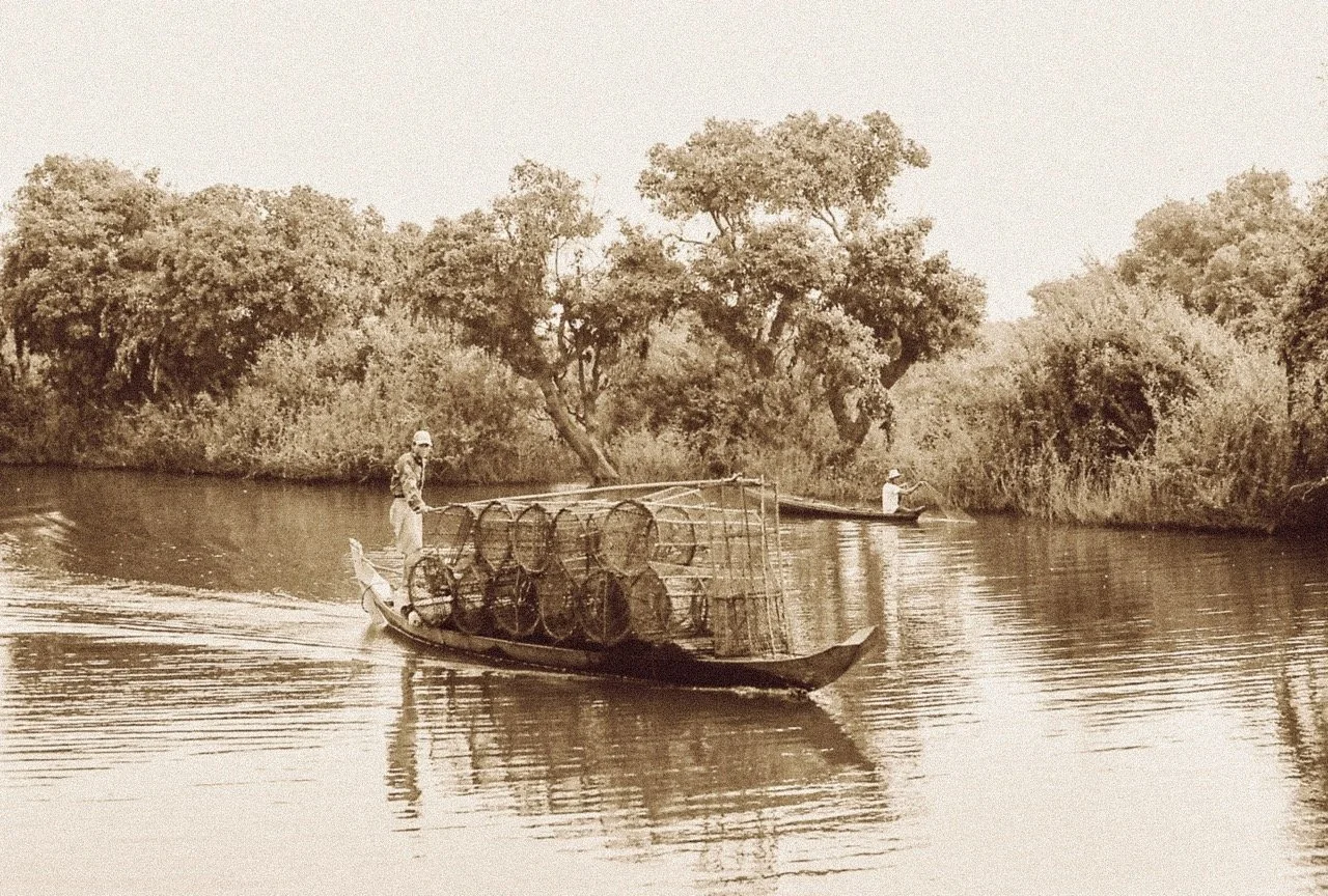 0001917-R1-01-2 Large.jpeg