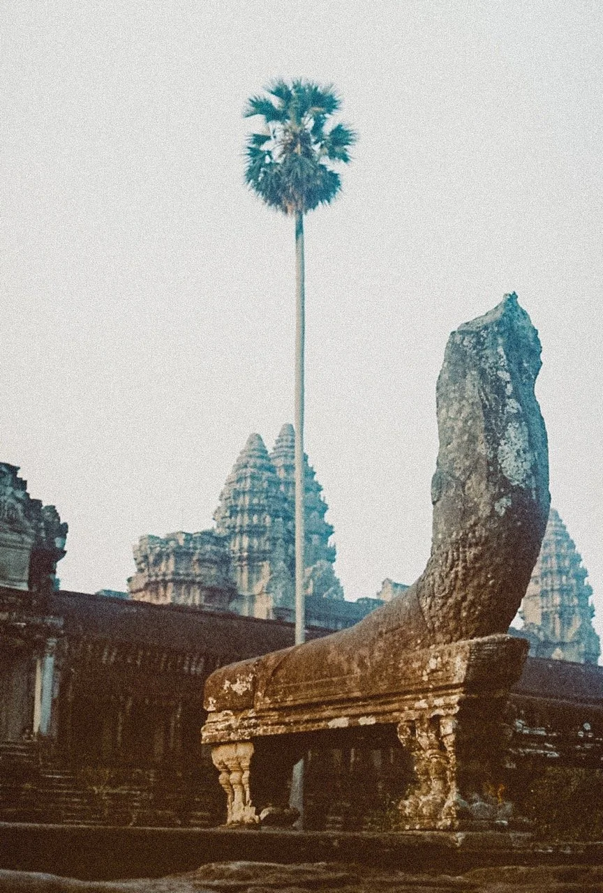 0001902-R1-18-17 Large.jpeg