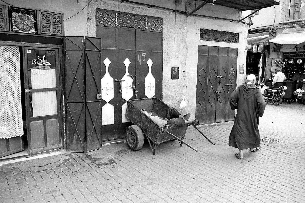 OM1 29-961 Large.jpg