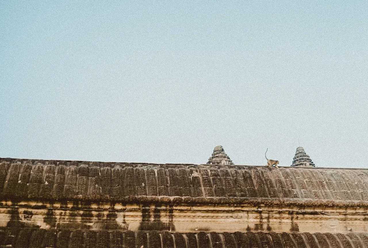 0001902-R1-20-19 Large.jpeg